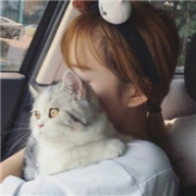 男女抱猫黑白情侣头像图片，情头一男一女都抱着猫