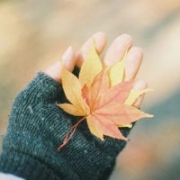 手的头像女生，女生手部唯美头像