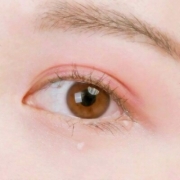 眼睛部位头像女真人，眼