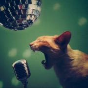 宣泄头像图片大全，好看的情绪宣泄个性头像