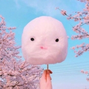 个性创意静物头像，好看很有意境的静物微信头像