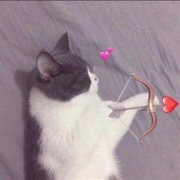 猫咪闺蜜头像一对两张，不可缺失的猫咪闺蜜头像