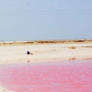 适合女生的风景微信头像