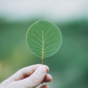 微信头像小清新风景，唯美清新淡雅微信头像