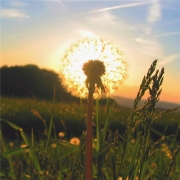 男人好运财运微信头像，能提升财运的微信头像