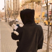 抱猫不露脸的男生头像 男人抱猫咪头像图片