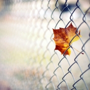 图片伤感风景头像，比较