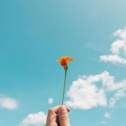 简单清新景物头像，简单好看的微信风景头像清