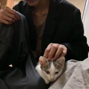 男头又酷又丧，很冷酷很丧的男头