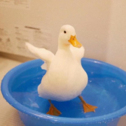 可爱头像动物萌系，可爱的小动物图片