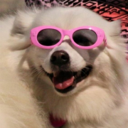 沙雕微信头像超可爱搞怪图片，很搞笑的沙雕头