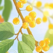 日系漫画风景图片头像，超好看的动漫风景图片