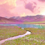 风景头像图片大全，独一无二的头像风景图片