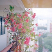 招财聚财带来好运的风景图片头像，吉利好运风景头像