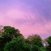 风景头像唯美来好运，给自己带好运风景头像