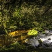 大溪水的风景头像，青山绿水头像图片