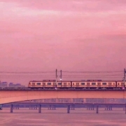 微信幸运又聚财的头像，好运来的头像发财