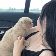 男朋友不是人系列情头一对可爱图片，比较独特的情头