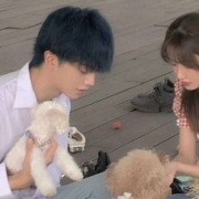 情侣高颜值优质头像，甜到掉渣的幸福十足的情头