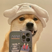 狗狗自拍照头像，狗狗拿手机自拍头像图片