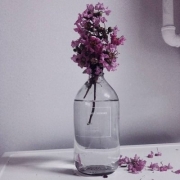 静物头像唯美图片，唯美头像小清新