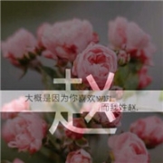 姓氏赵头像带字图片，漂亮赵字头像带特效