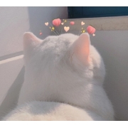 网络热门可爱头像图片，有趣又可爱的微信头像