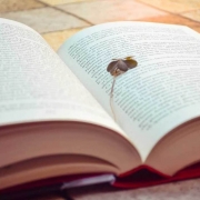 安静学习书本单张头像图片，书中自有黄金屋