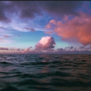 好运来临图片微信头像，