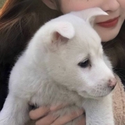 男朋友不是人系列的情侣头像，对象不是人系列情头