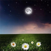 微信转运旺财头像，顺风顺水又招财的微信头像