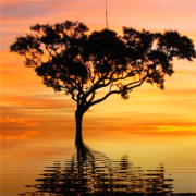 老年人专用微信头像，微