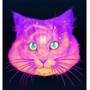 猫咪霸气图片头像，帅气又霸气的猫猫头像图片