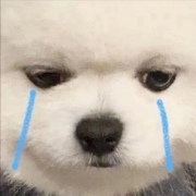 沙雕智障情侣头像可爱，