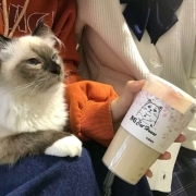 闺蜜头像不露脸二人，闺