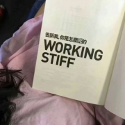 个性静物头像，小众简约头像