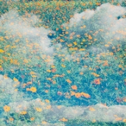 风景头像qq唯美小清新，风景图片头像