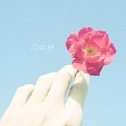 花朵静物小清新头像唯美有气质图片，清新花朵头像