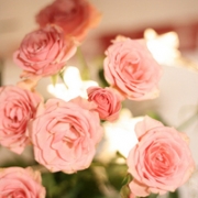 头像花朵图片微信唯美，微信头像图片大全清新