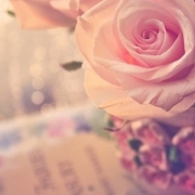 qq头像唯美意境花朵，头像女花朵唯美小清新