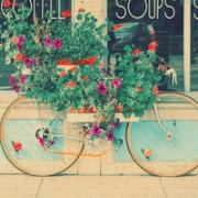 唯美清新静态头像，头像唯美小清新