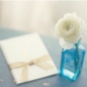 qq图片头像静物唯美，静物头像简约清新图片