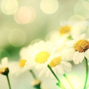 qq头像唯美小清静物，头像唯美小清新