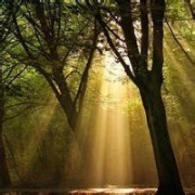 微信唯美阳光头像，给人一种阳光的头像风景