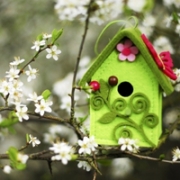 唯美意境个性头像2026，唯美意境图片头像