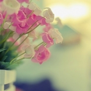 简单花的唯美头像，花头像唯美小清新图片