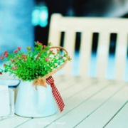 2026静物清新头像唯美，静物头像干净简单