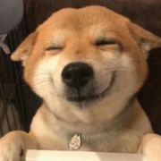 可爱精致沙雕的动物头像图片，动物头像图片可爱