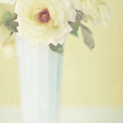 唯美静物小清新头像图片，静物头像干净简单