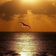 微信头像风景图片唯美，永不换的好看头像风景